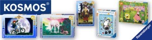 2D Puzzle