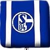 Schalke 04 Fanartikel Shop