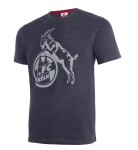 1. FC Köln Herren T-Shirt "Basic anthrazit grau" Gr. M