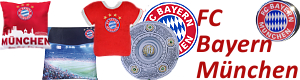 FC Bayern Kissen