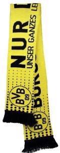 BVB Borussia Dortmund Schal "Nur der BVB" 14 x 140 cm gelb/ schwarz