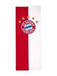 FC Bayern Bannerfahne 5 Sterne Logo 120 x 300 cm