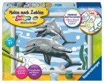 Malen nach Zahlen Freundliche Delfine Serie E