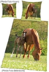 Pferde Foto-Bettwäsche und Kissen "Stute & Fohlen"